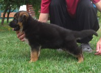 /album/a5-weeks/stenka-b-vrh-059-jpg/